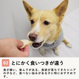 犬 おやつ 猫 ドッグフード ペットフード ウ...の詳細画像2
