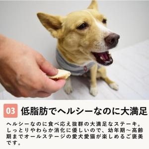 犬 おやつ 猫 ドッグフード ペットフード ウ...の詳細画像5