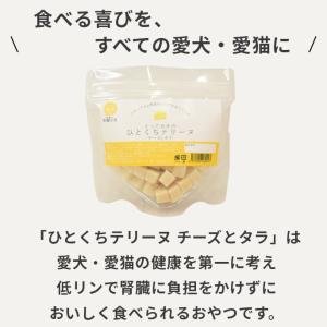 犬 おやつ チーズ 猫 ドッグフード ウェット...の詳細画像1