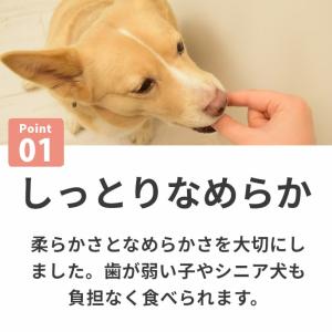 犬 おやつ チーズ 猫 ドッグフード ウェット...の詳細画像5