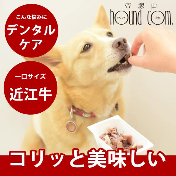 クーポン配布中 犬 おやつ 猫 無添加 軟骨 低リン 消化にやさしい 近江牛のコロコロなんこつ 1袋...