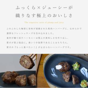 犬 手作りご飯 無添加 トッピング おやつ ド...の詳細画像1