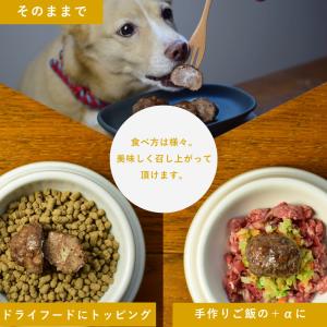 犬 手作りご飯 無添加 トッピング おやつ ド...の詳細画像2