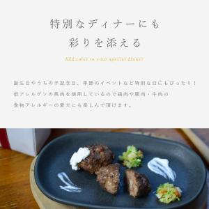 犬 手作りご飯 無添加 トッピング おやつ ド...の詳細画像3