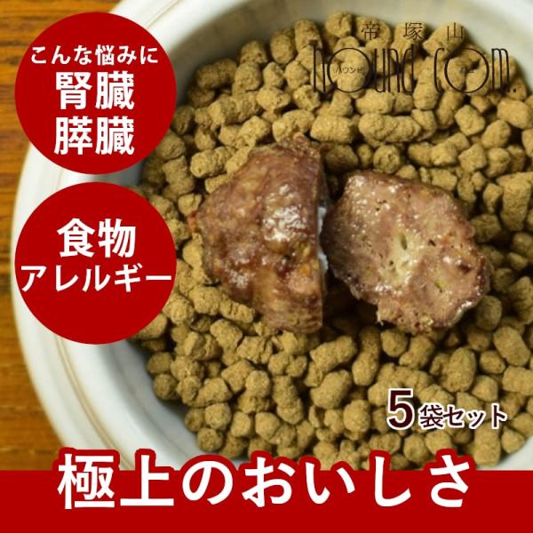 犬 手作りご飯 無添加 トッピング おやつ ドッグフード 馬肉のチーズインハンバーグ 5袋 約30g...