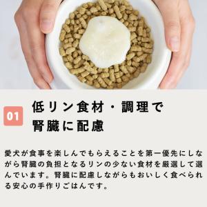 愛犬用 療法食サポート 腎臓ケア 食いつきサポ...の詳細画像2