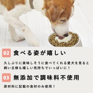 愛犬用 療法食サポート 腎臓ケア 食いつきサポ...の詳細画像3