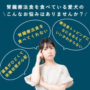 愛犬用 療法食サポート 腎臓ケア 食いつきサポ...の詳細画像4