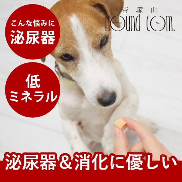 犬 おやつ とっておきのひとくちテリーヌ 尿路ケア 100g【ハウンドカム食堂】