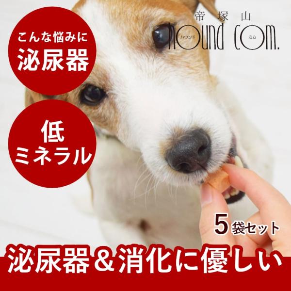 犬 おやつ とっておきのひとくちテリーヌ 尿路ケア 100g×5袋セット【ハウンドカム食堂】