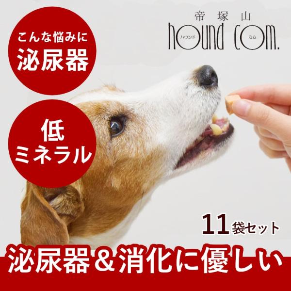 犬 おやつ とっておきのひとくちテリーヌ 尿路ケア 100g×10袋+1袋セット【ハウンドカム食堂】