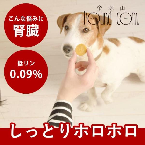犬 おやつ クッキー ロイヤルプティサブレ 腎臓ケア 70g 冷凍便【ハウンドカム食堂】