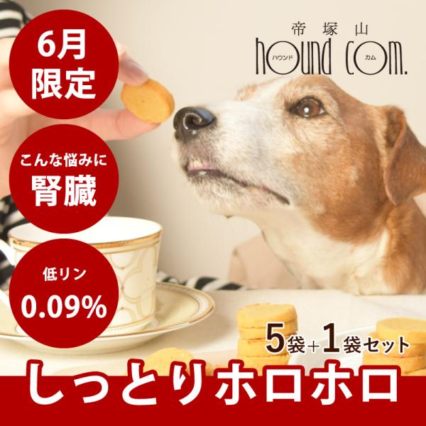 6月限定 犬 おやつ クッキー ロイヤルプティサブレ 腎臓ケア 70g×5袋+1袋セット 冷凍便【ハ...