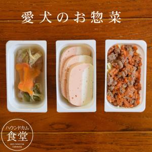 腎臓に優しい低リンセットお試し3食 ハウンドカム食堂