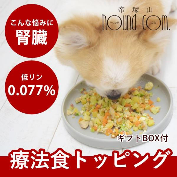 【ギフトBOX付】愛犬用 手作りごはん 低リンで腎臓に優しい7食Bセット