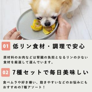 愛犬用 手作りごはん 低リン 犬 ドッグフード...の詳細画像2