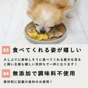 愛犬用 手作りごはん 低リン 犬 ドッグフード...の詳細画像3
