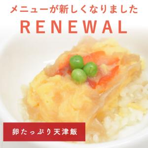 低脂肪 犬 膵臓 フード ドッグフード ウェッ...の詳細画像1