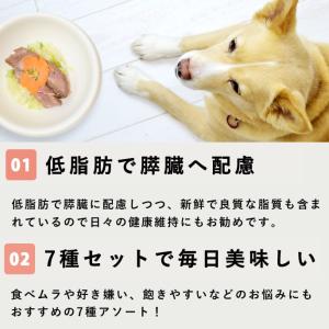 低脂肪 犬 膵臓 フード ドッグフード ウェッ...の詳細画像3