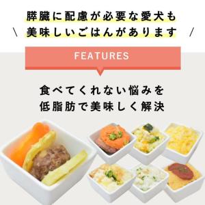 低脂肪 犬 膵臓 フード ドッグフード ウェッ...の詳細画像2