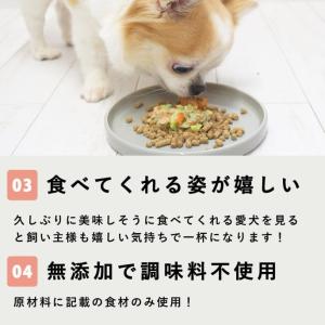 低脂肪 犬 膵臓 フード ドッグフード ウェッ...の詳細画像4