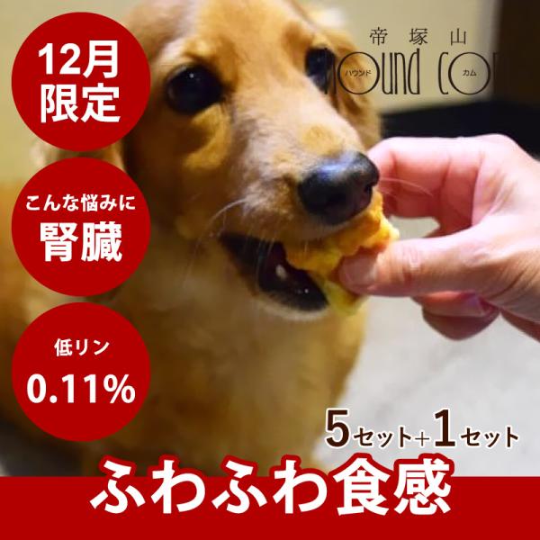 12月限定 愛犬用 食堂の手作りチーズスフレ 5セット+1セット ハウンドカム食堂
