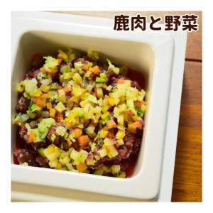 エゾ鹿肉と野菜の混ぜる手作りセット ハウンドカム食堂｜houndcom