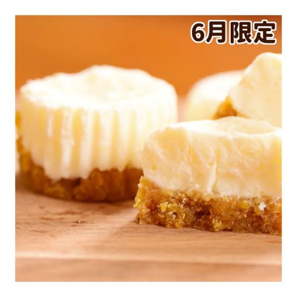 【6月限定】食堂の手作りレアチーズケーキ 6個×5セット+1セット冷凍配送　犬用おやつ ハウンドカム...