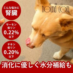 爆買 犬 おやつ 猫 ドッグフード ウェット ジャーキーとっておきのひとくちテリーヌ お試し2種セット (サーモン・チキン) 100g×2 ハウンドカム食堂