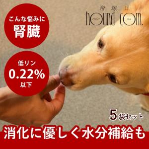 犬 おやつ 猫 ドッグフード ペットフード ウェット ジャーキー 鮭 魚 手作り とっておきのひとくちテリーヌ サーモン 100g×5袋 ハウンドカム食堂