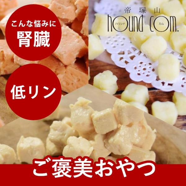 クーポン配布中 犬 おやつ 猫 ドッグフード ウェット とっておきのひとくちおやつ3種セット ひとく...