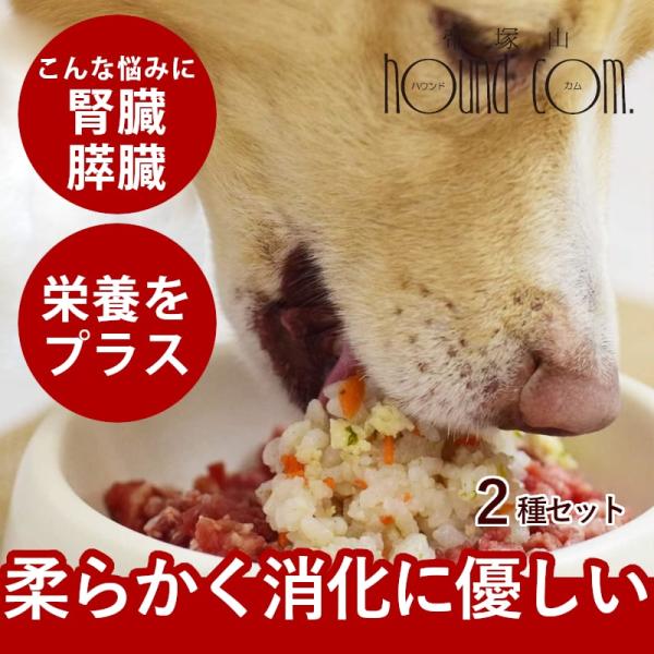 愛犬用 毎日ごはん 鶏と鮭の2種セット 雑穀鶏炊き込み・雑穀鮭めし 各1袋(約30g×12パテ)ハウ...