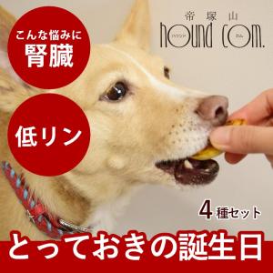 愛犬用 犬 おやつ 誕生日 ハッピーバースデー プチスイーツセット 手作りスイーツとフレッシュチーズ 4種（計7個）ハウンドカム食堂 ※お名前入れ不可 冷凍便