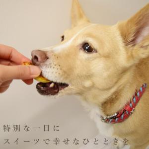 愛犬用 犬 おやつ 誕生日 ハッピーバースデー...の詳細画像1