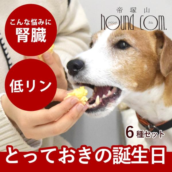 クーポン配布中 愛犬用 犬 おやつ 犬用スイーツ 誕生日 ハッピーバースデー 贅沢ディナーとスイーツ...