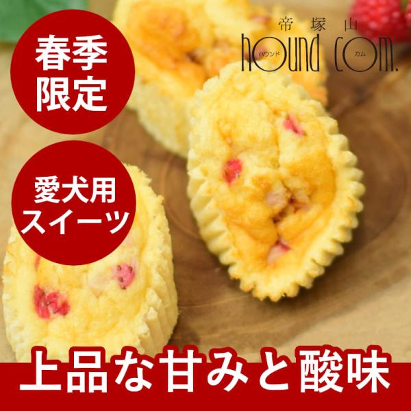 春季限定  愛犬用スイーツ いちごロールケーキといちごスフレの贅沢スイーツセットハウンドカム食堂  ...