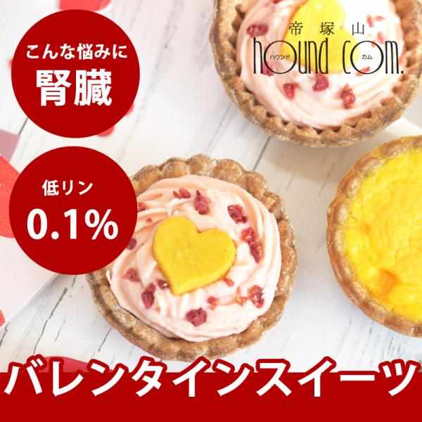 犬用 おやつ｜バレンタイン限定 ときめきタルトBOX【冷凍便】【ハウンドカム食堂】