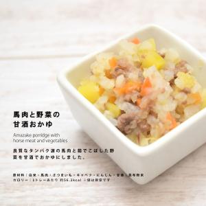 愛犬用 手作りごはん 低リン 犬 腎臓 フード...の詳細画像3