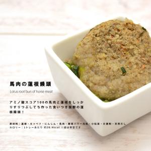 愛犬用 手作りごはん 低リン 犬 腎臓 フード...の詳細画像5