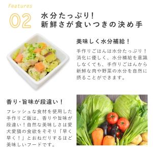 愛犬用 手作りごはん 低リン 犬 腎臓 フード...の詳細画像5