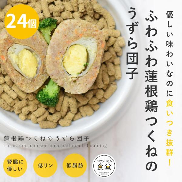 愛犬用 手作りごはん 蓮根鶏つくねのうずら団子24個セット 【ハウンドカム食堂】【冷凍便】