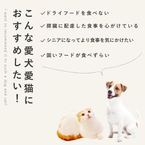 愛犬用 手作りごはん 食いつきが良い 低脂肪 ...の詳細画像3
