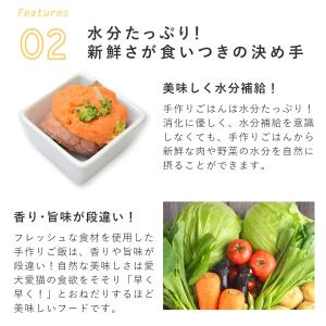 愛犬用 手作りごはん 食いつきが良い 低脂肪 ...の詳細画像5