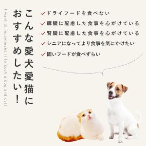 愛犬用 手作りごはん 低脂肪 膵臓にやさしい ...の詳細画像3