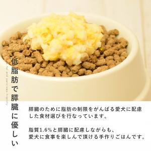 愛犬用 手作りごはん 低脂肪 膵臓にやさしい ...の詳細画像2