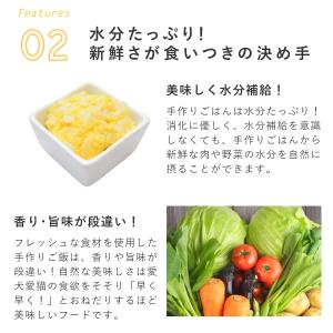 愛犬用 手作りごはん 低脂肪 膵臓にやさしい ...の詳細画像5