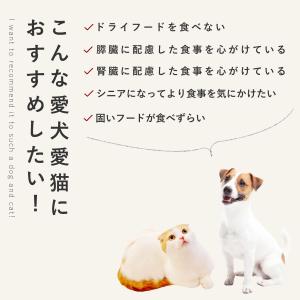 愛犬用 手作りごはん 低脂肪 膵臓にやさしい ...の詳細画像3