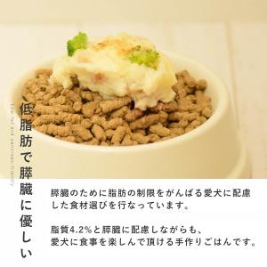 愛犬用 手作りごはん 低脂肪 膵臓にやさしい ...の詳細画像2