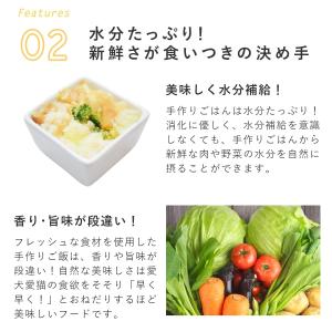 愛犬用 手作りごはん 低脂肪 膵臓にやさしい ...の詳細画像5