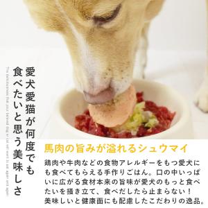 愛犬用 手作りごはん 低リン 低脂肪 犬 腎臓...の詳細画像1